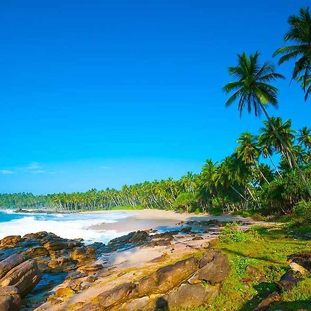 Kings Villa Tangalle Zewnętrze zdjęcie